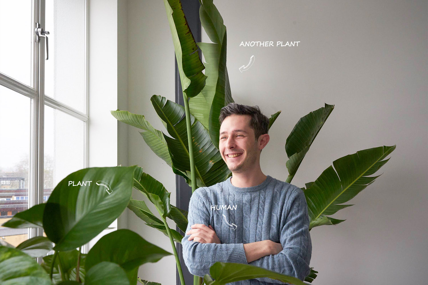 invincible_house_plants_blog_about_care.jpg