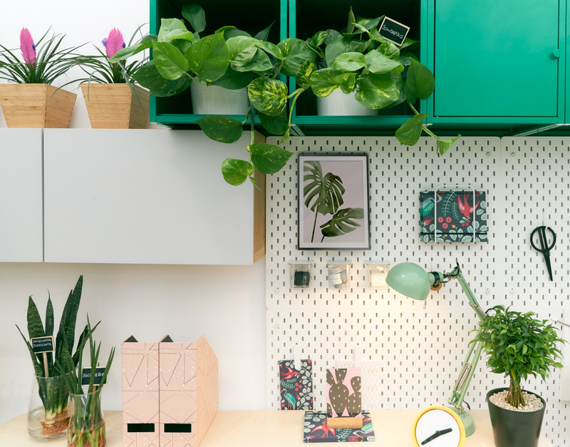 home-office-houseplants-desk-work-station.jpg