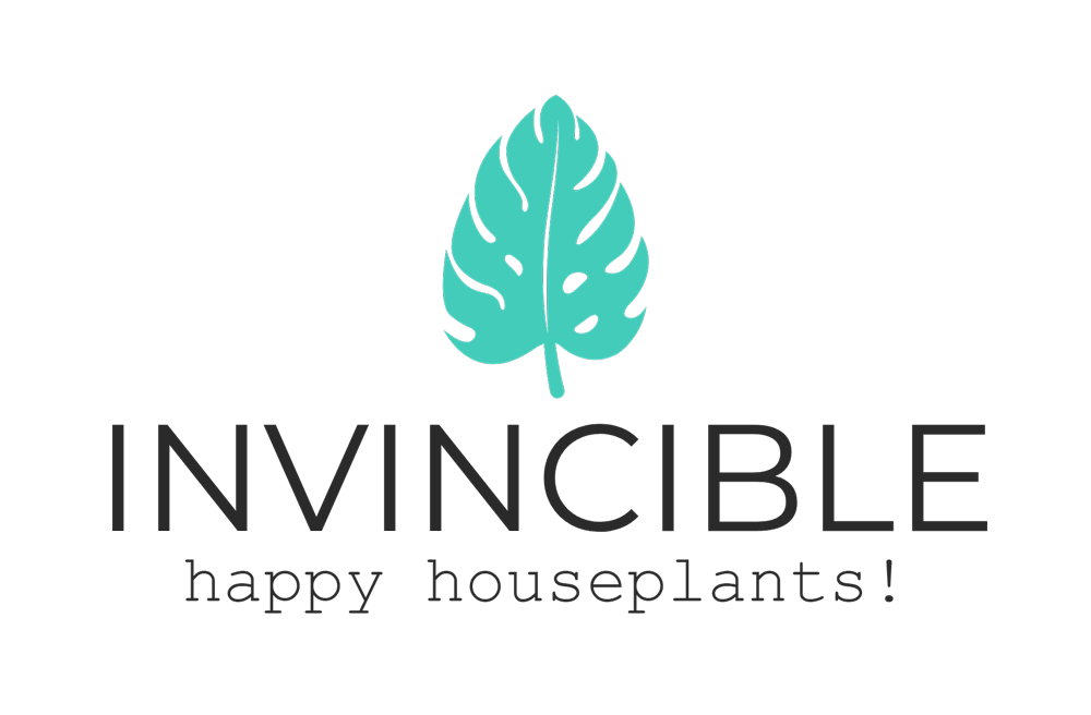 The Houseplant & Urban Jungle Blog 